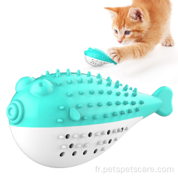 Jouet de brosse à dents pour chat écologique de luxe personnalisé pour animaux de compagnie